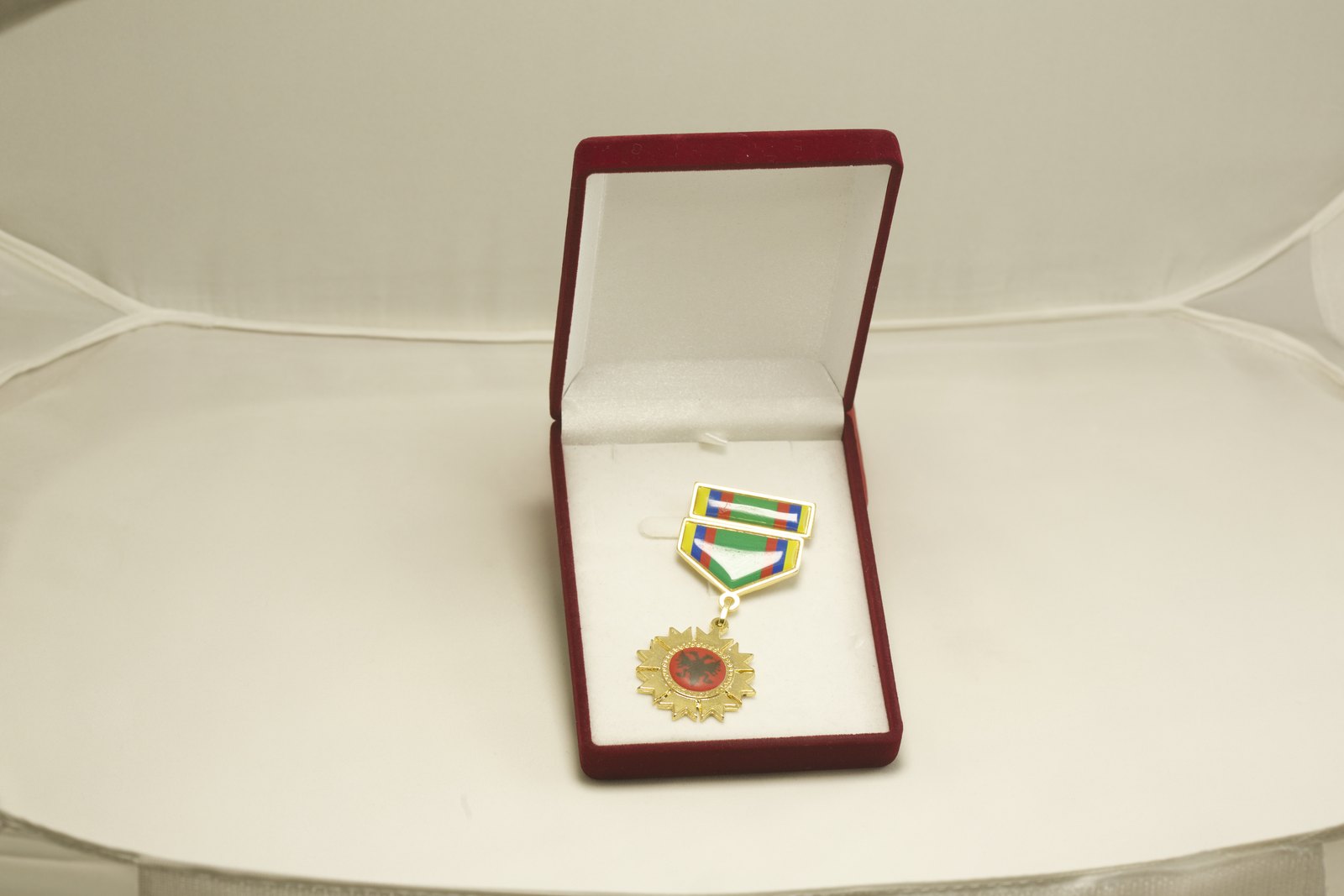 Medal for Distinguished Services 2011
